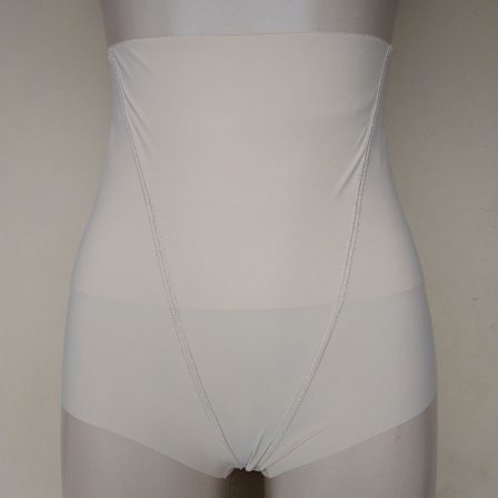 Nude Banded Waist Control Pant