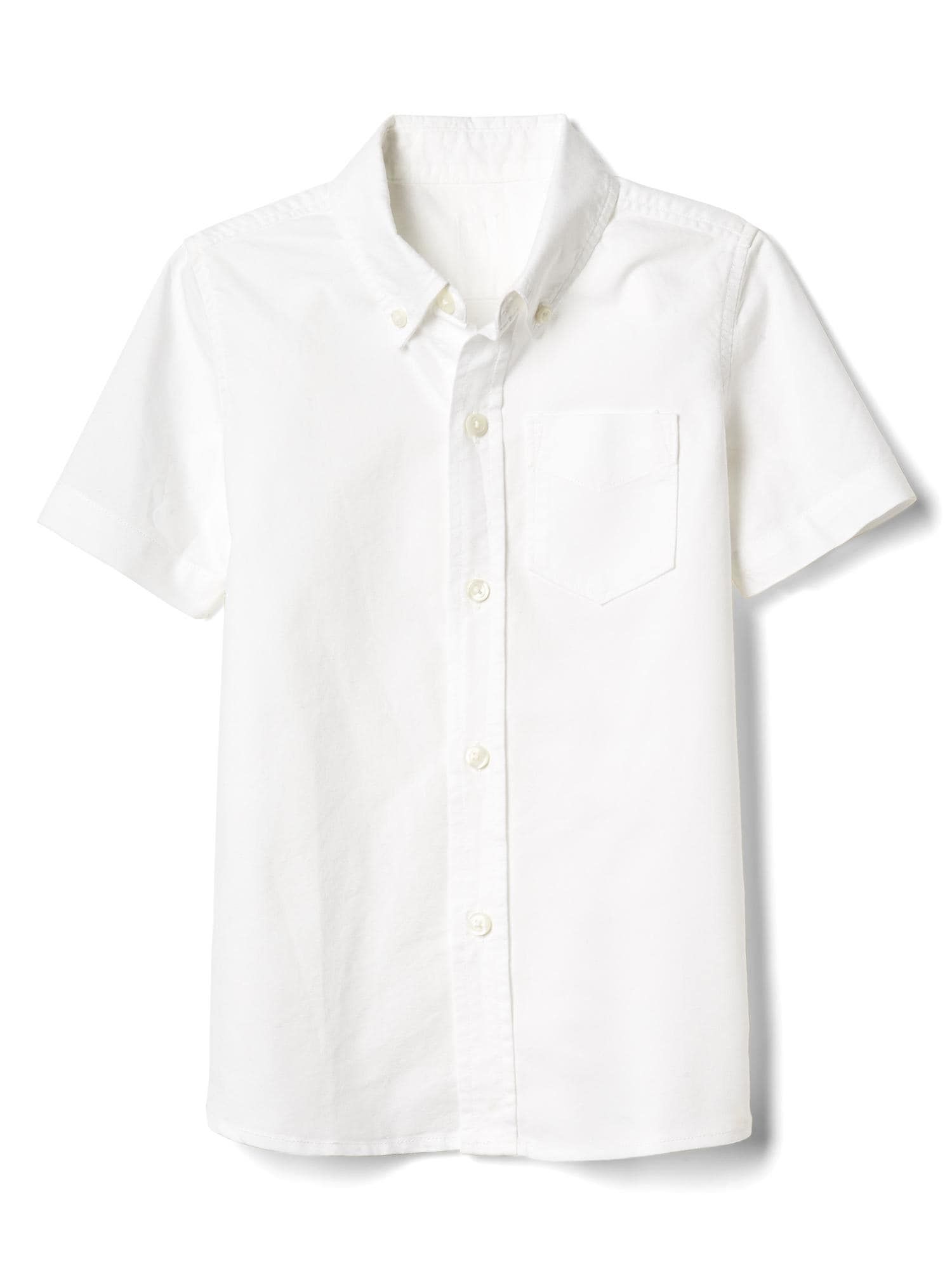 68ebcc0a982904a3fa17bb55095b16a6-1