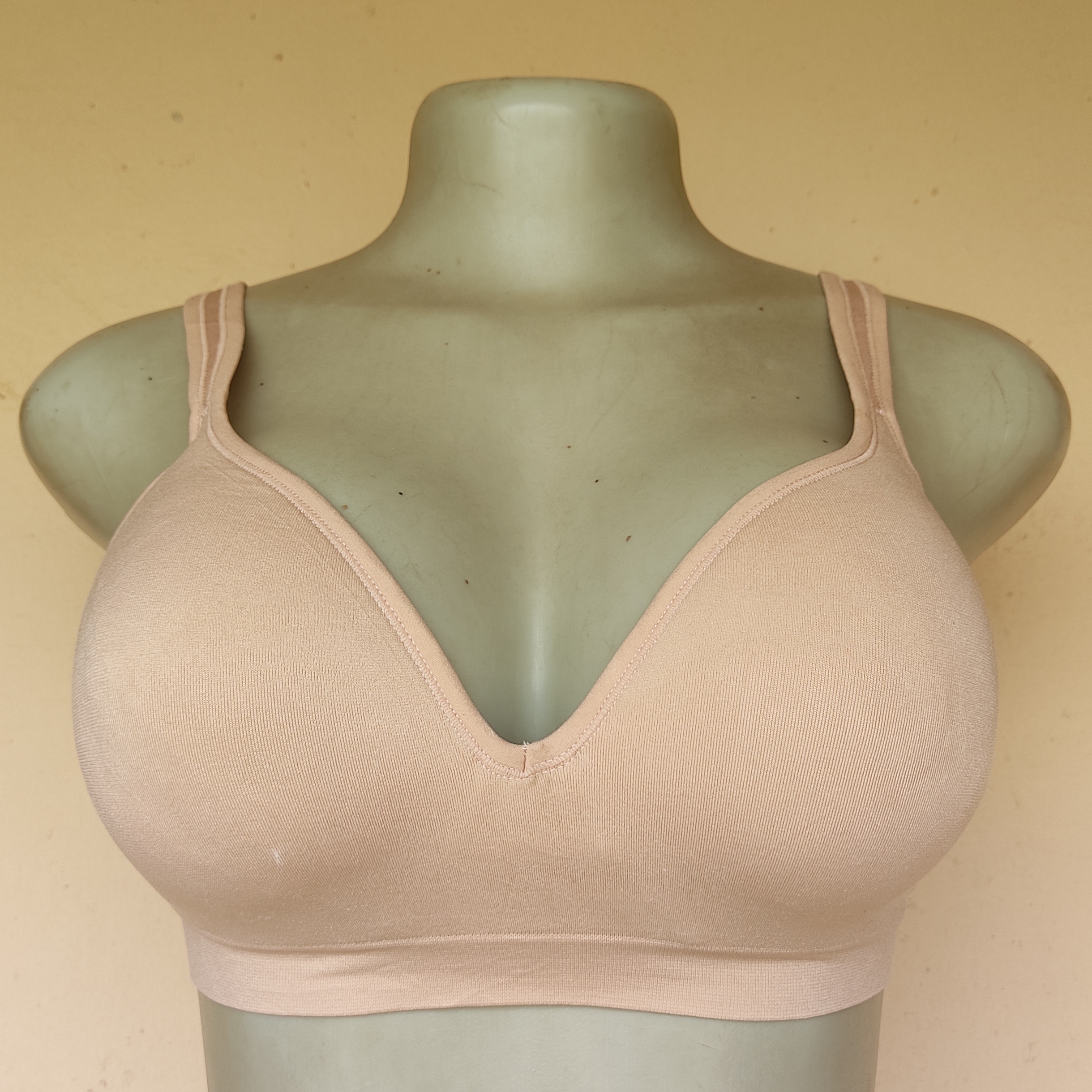 34C - Peacock Brown Non Wired  Bra
